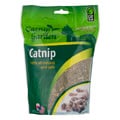 Catnip Garden Catnip