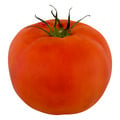 Greenhouse Tomatoes