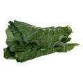 Collard Greens