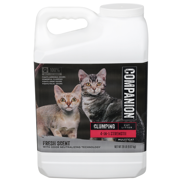 How Long Cat Ammonia And Pregnancy Save On Companion 4-in-1