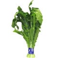 Organic Dandelion Greens