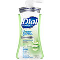 Dial Complete Clean + Gentle Aloe Antibacterial Foaming Hand Wash