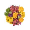 Beachy Outlook Bouquet (Colors May Vary)