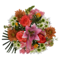 Giant Color Collection Calming Gold Bouquet