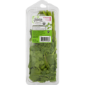 Nature's Promise Organic Cilantro Fresh