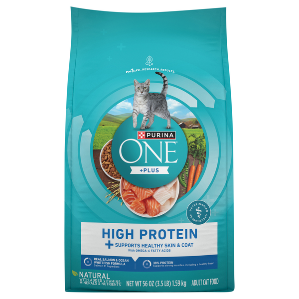 Purina ONE Plus Salmon & Ocean Whitefish High Protein Dry Cat Food