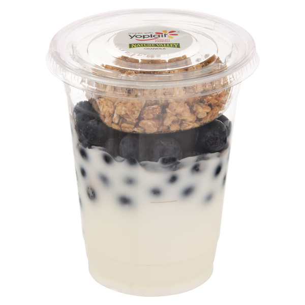 Hannaford Blueberry Yogurt Parfait