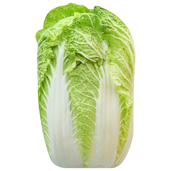 Napa Cabbage