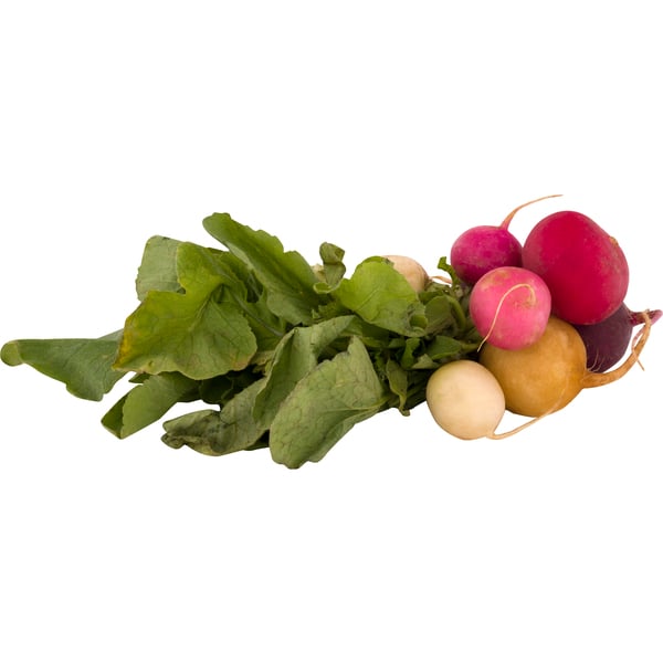 Our Brand Organic Easter Egg Radishes