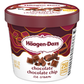 Haagen-Dazs Chocolate Chocolate Chip Ice Cream Single Serve