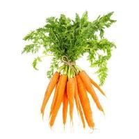 Carrots with Tops Fresh