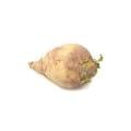 Rutabagas (Yellow Turnips)