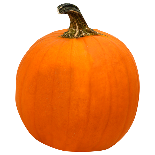 Large Carving Pumpkin