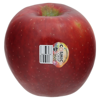 Cosmic Crisp Apples