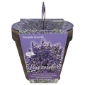 TotalGreen Complete Grow Kit Lavender
