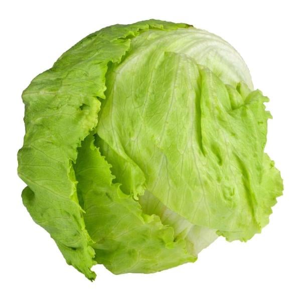Iceberg Lettuce