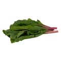 Organic Red Swiss Chard