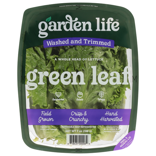 Garden Life Green Leaf Lettuce