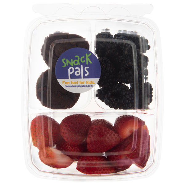 Hannaford Snack Pals Berries & Brownies