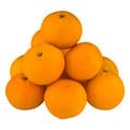 Tangerine Oranges Bag
