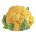 Orange Cauliflower