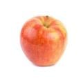 Jonagold Apple