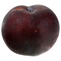 Black Plums