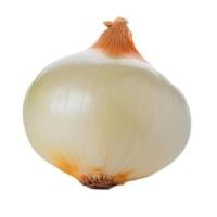 Sweet Onion Peeled