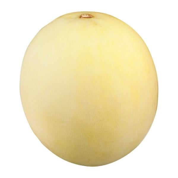 Orange Flesh Honeydew Melon