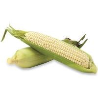 Untrimmed Whole White Corn