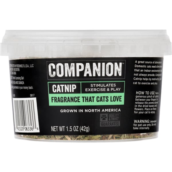 Companion Catnip