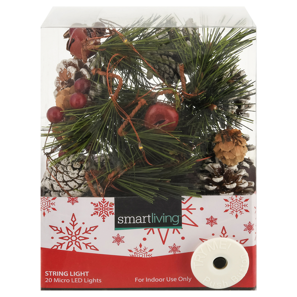 Smart Living Garland String Light Indoor