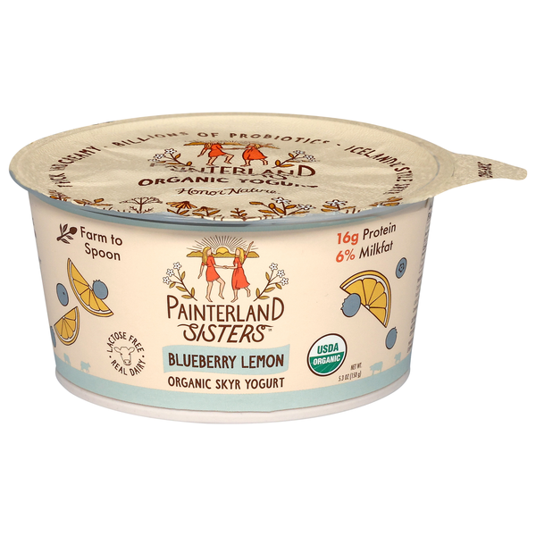 Painterland Sisters Organic Blueberry Lemon Skyr Yogurt Cup