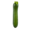 Zucchini Squash