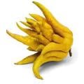 Buddha's Hand Citron Fruit