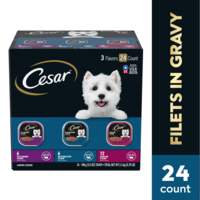 CESAR Filets in Gravy Beef Variety Pack Adult Wet Dog Food - 24 ct