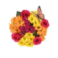 Garden Blooms Bouquet (Colors May Vary)