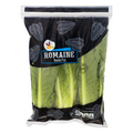 Giant Romaine Lettuce Hearts