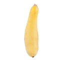 Yellow Squash