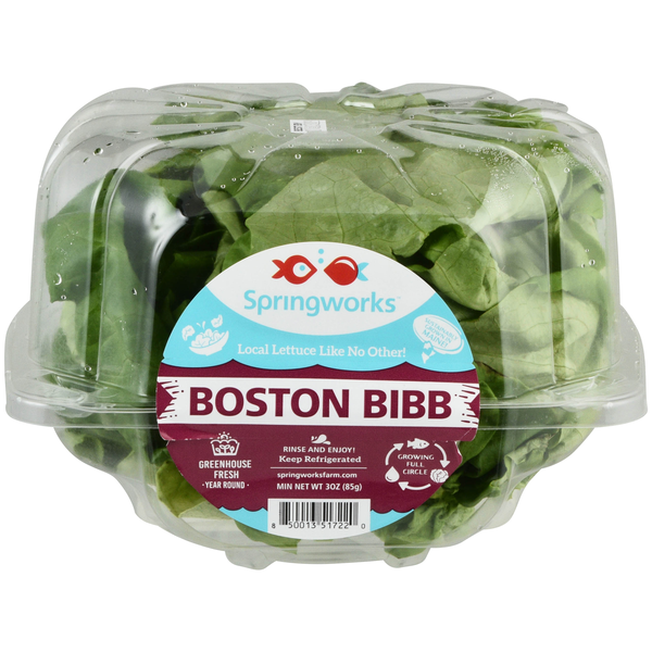 Springworks Boston Bibb Lettuce