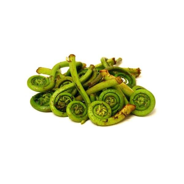 Fiddlehead Ferns