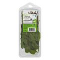 Nature's Promise Organic Mint Fresh