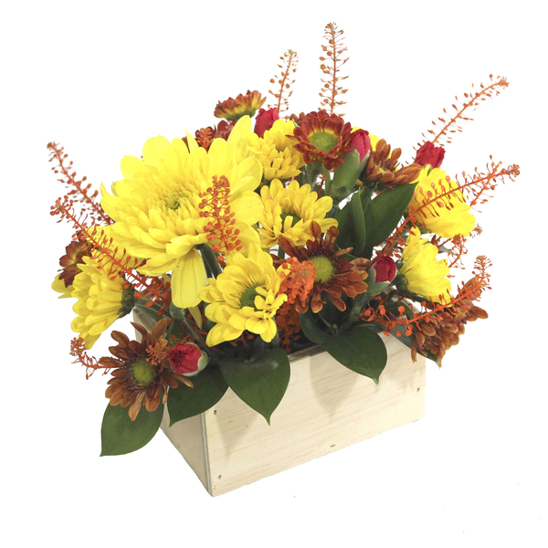 Freshly Picked Arrangement