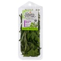 Nature's Promise Organic Roasting Blend