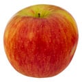 Stayman Apples