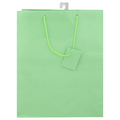 Unique Pastel Gift Bag Light Green Large