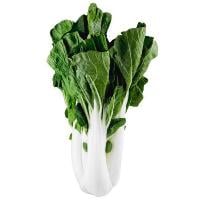 Baby Bok Choy