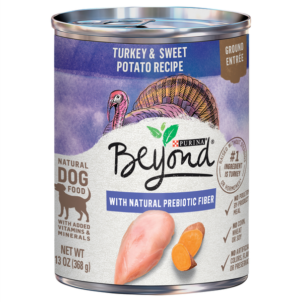 Beyond Natural Ground Turkey & Sweet Potato Recipe Entree Wet Dog Food