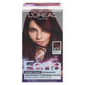 L'Oreal Paris Feria Permanent Hair Color Gel Intense Deep Violet V38