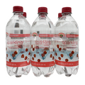 Hannaford Raspberry Sparkling Water - 6 pk